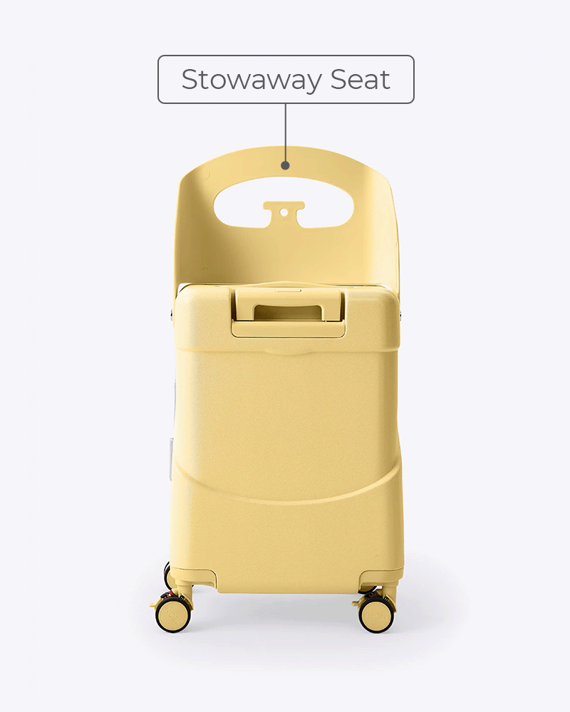 Carry on Luggage with Seat